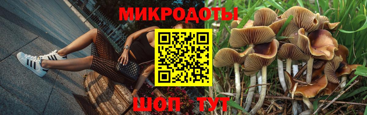 Псилоцибиновые грибы Cubensis  Вход с VPN  Джанкой 