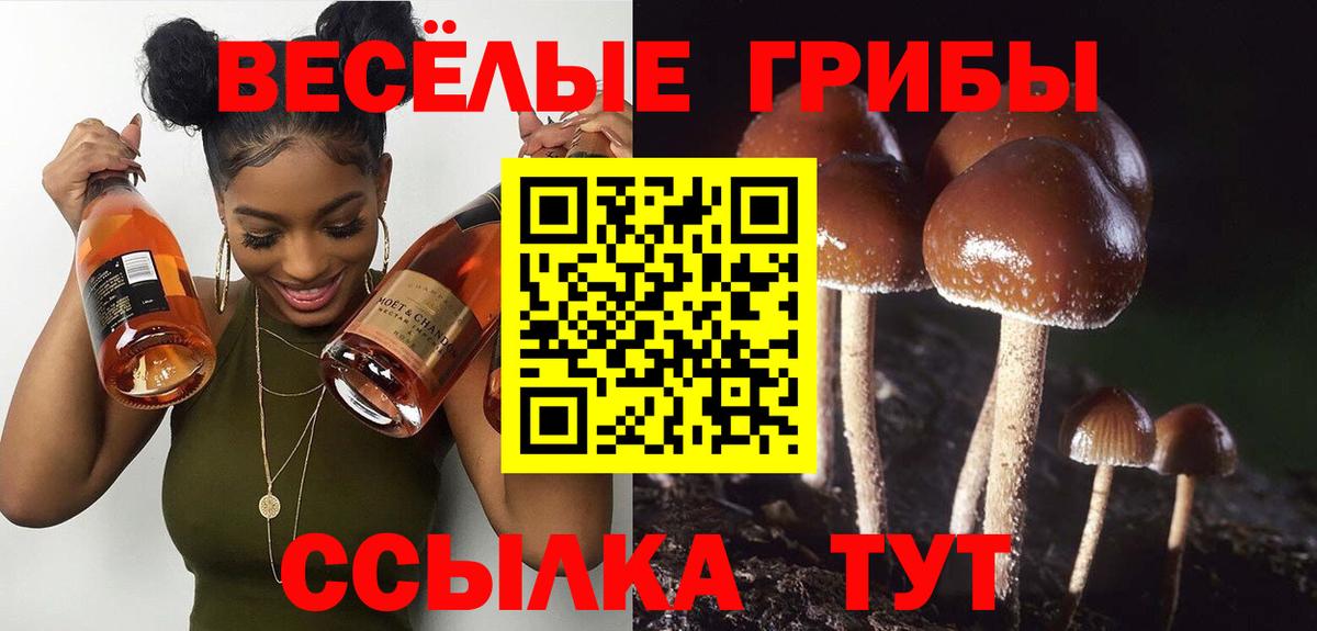 Псилоцибиновые грибы MAGIC MUSHROOMS Джанкой